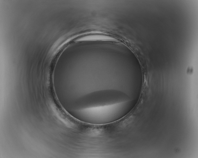 X0000113340247200909291037