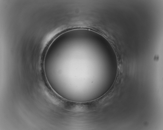 X0000113340248200909291037