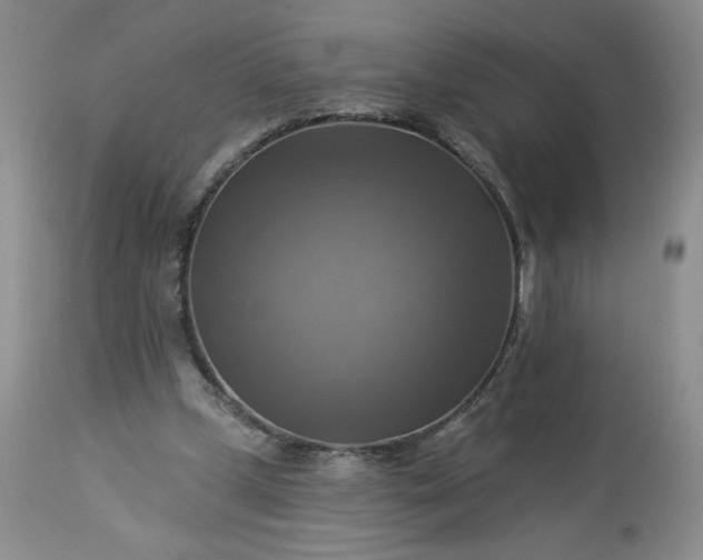 X0000113340249200909291037