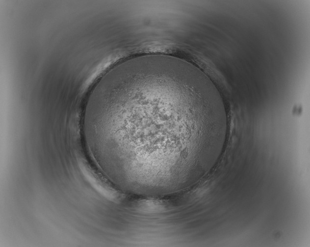 X0000113340250200909291037