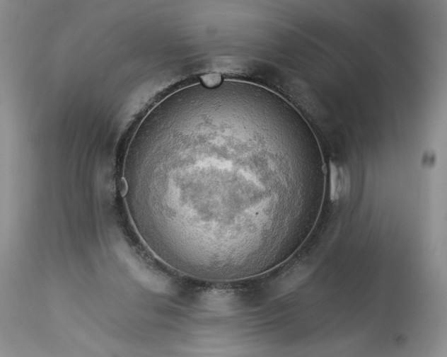 X0000113340252200909291037