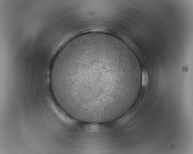 X0000113340253200909291037