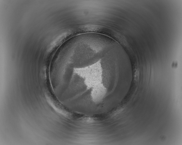 X0000113340254200909291037