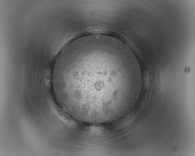 X0000113340255200909291037