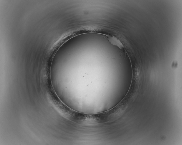 X0000113340256200909291037