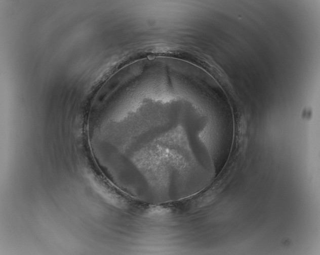 X0000113340257200909291037