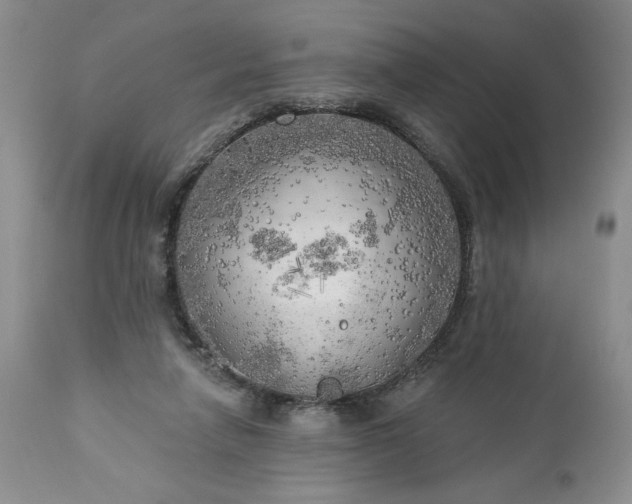 X0000113340258200909291037