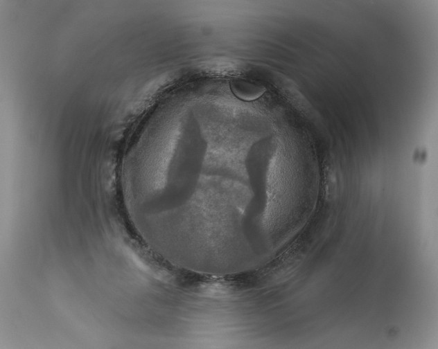 X0000113340259200909291037