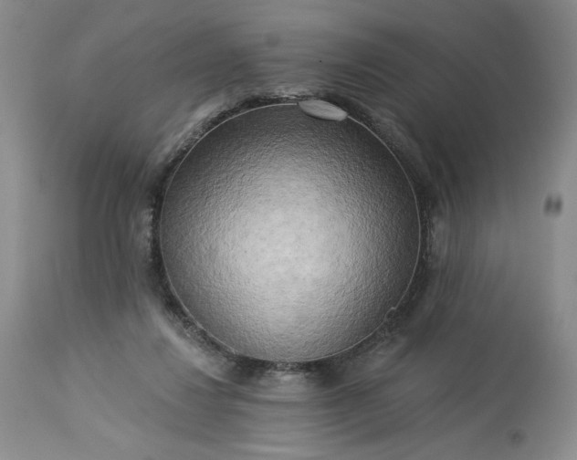 X0000113340260200909291037