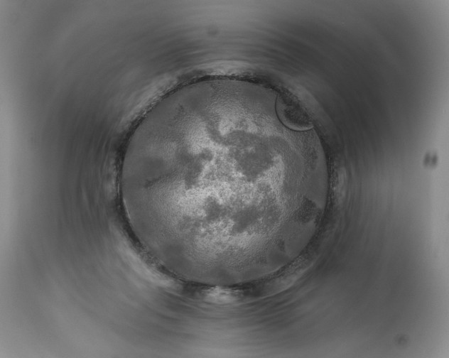 X0000113340261200909291037