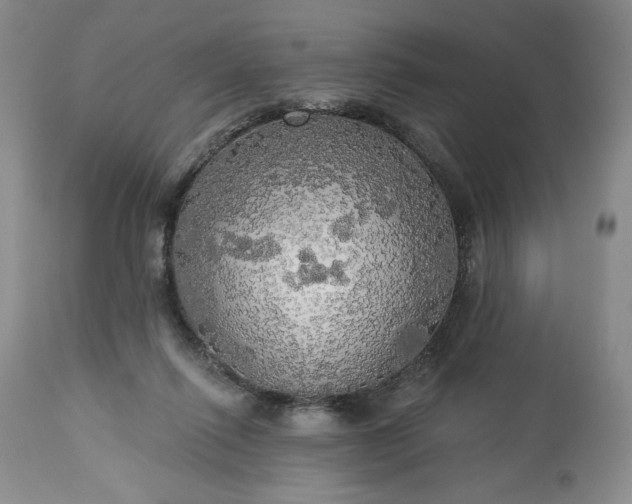 X0000113340262200909291037