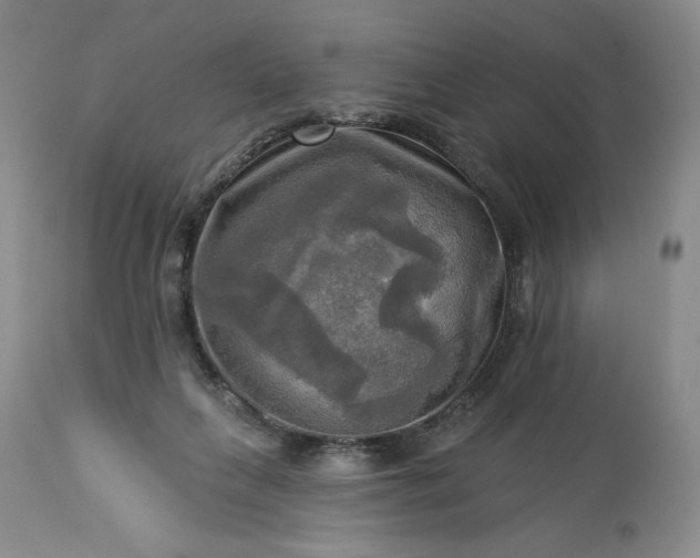 X0000113340263200909291037