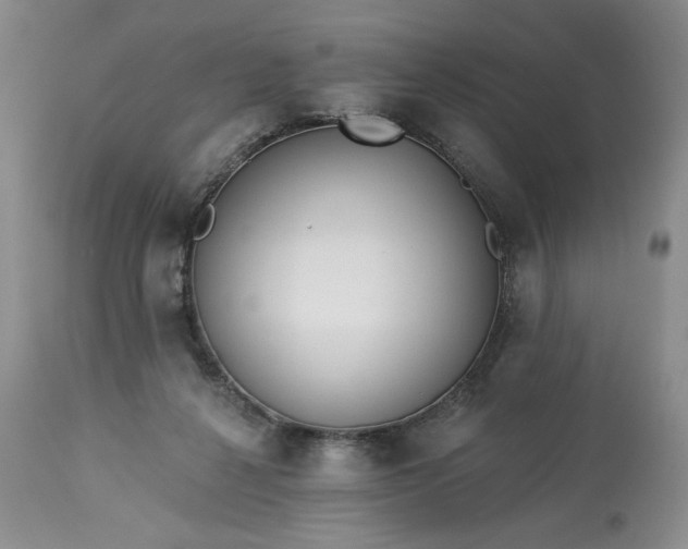 X0000113340264200909291037