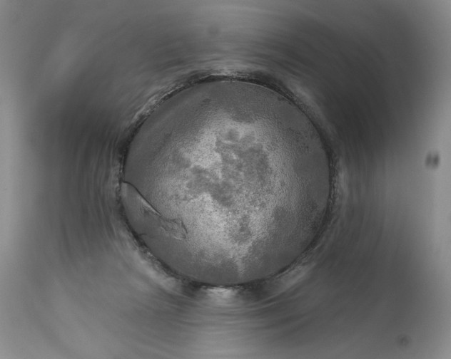 X0000113340265200909291037