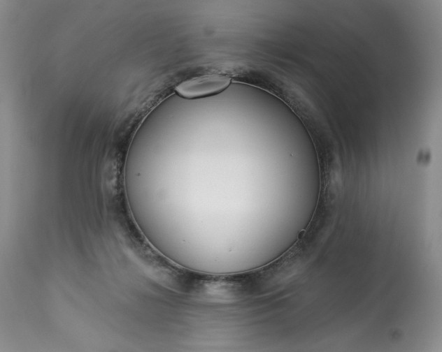 X0000113340268200909291037