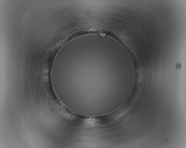 X0000113340269200909291037