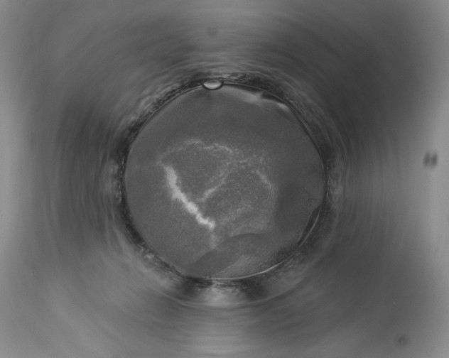 X0000113340270200909291037