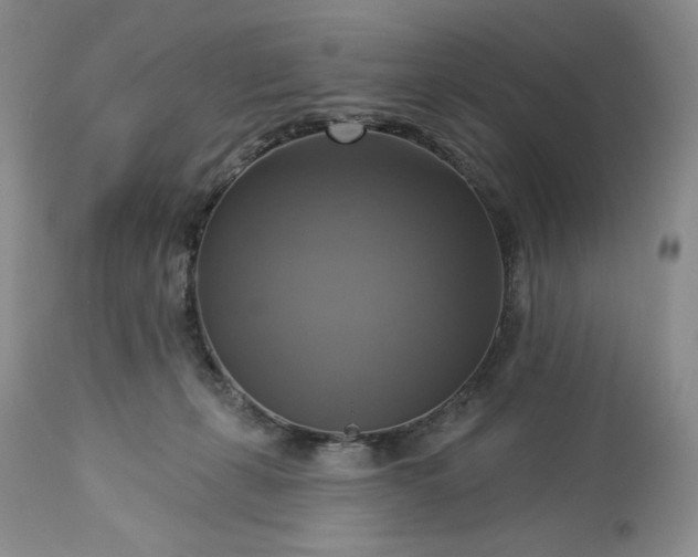 X0000113340271200909291037