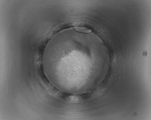 X0000113340272200909291037