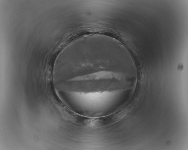 X0000113340273200909291037