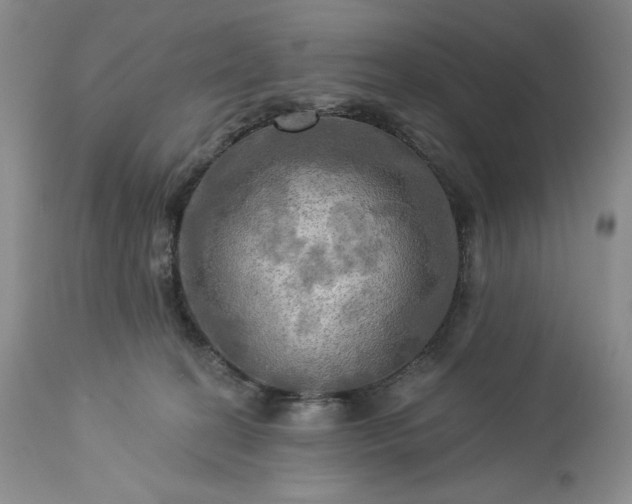 X0000113340274200909291037