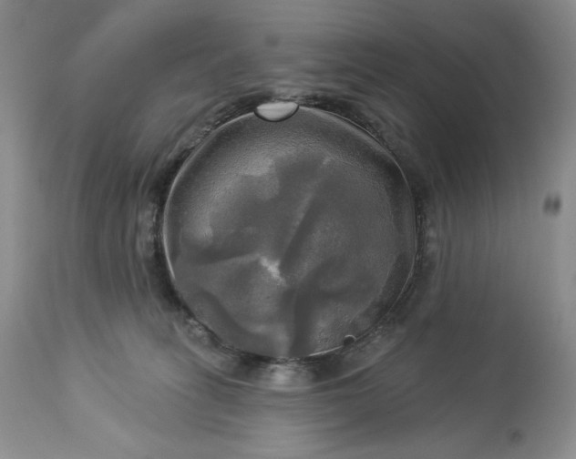 X0000113340275200909291037