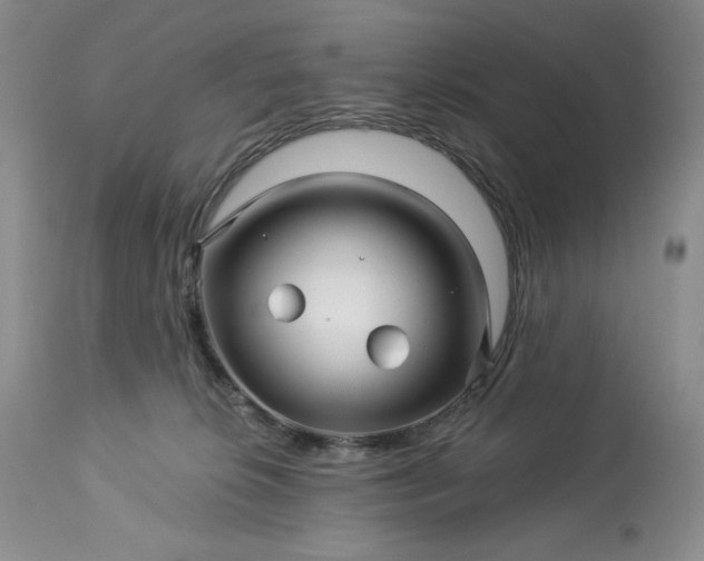 X0000113340276200909291037