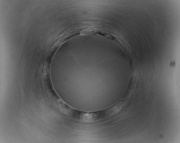 X0000113340277200909291037