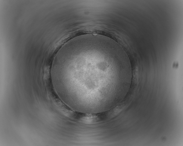 X0000113340278200909291037