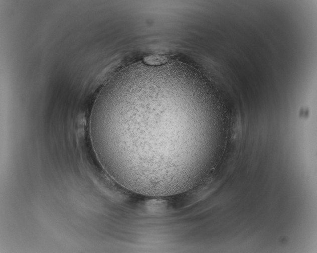 X0000113340279200909291037