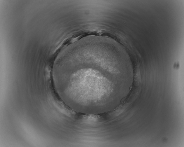 X0000113340282200909291037