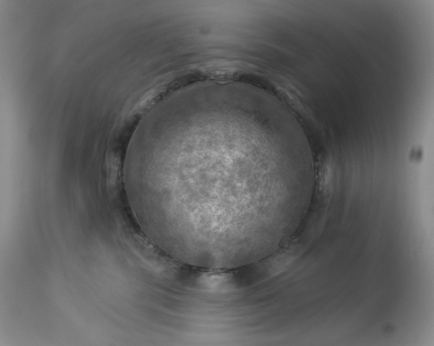 X0000113340283200909291037