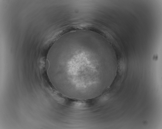 X0000113340284200909291037