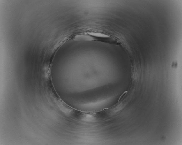 X0000113340285200909291037