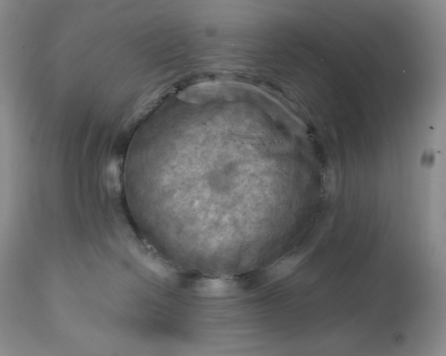 X0000113340286200909291037