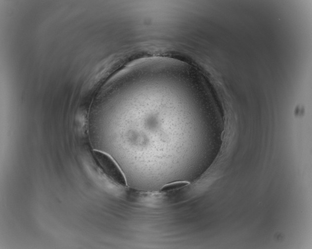 X0000113340288200909291037