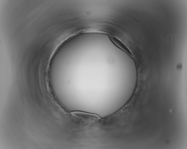 X0000113340289200909291037