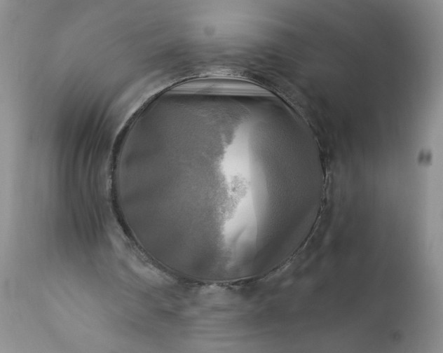 X0000113340290200909291037