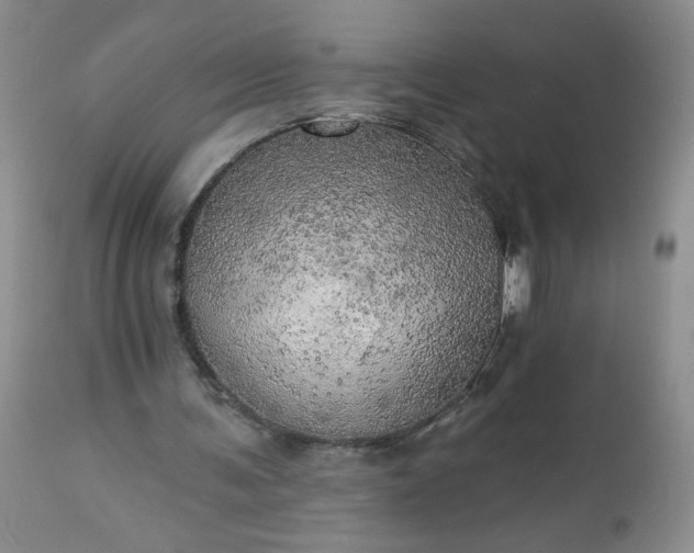 X0000113340291200909291037