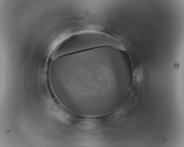 X0000113340292200909291037