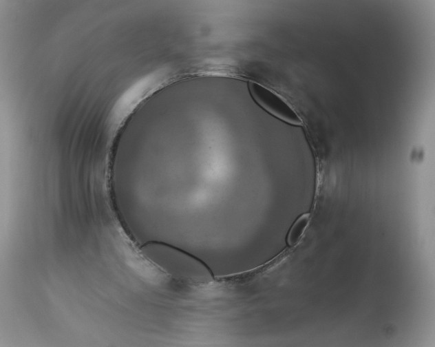 X0000113340293200909291037