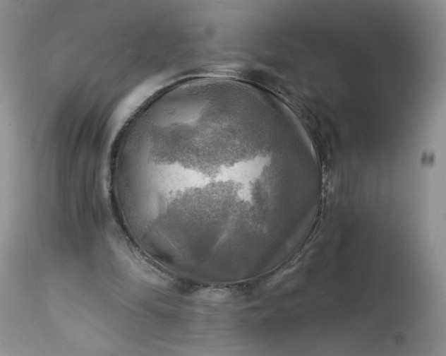 X0000113340294200909291037