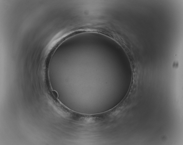 X0000113340295200909291037