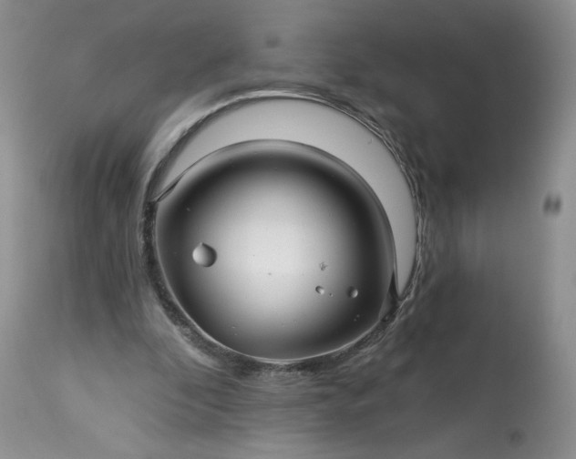 X0000113340296200909291037