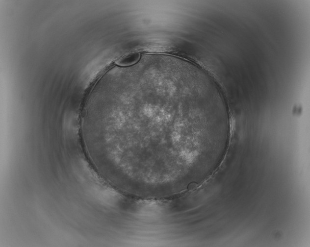 X0000113340297200909291037