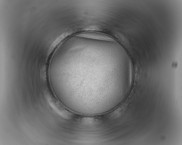 X0000113340298200909291037