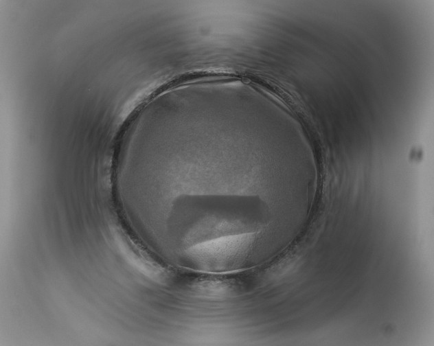 X0000113340299200909291036