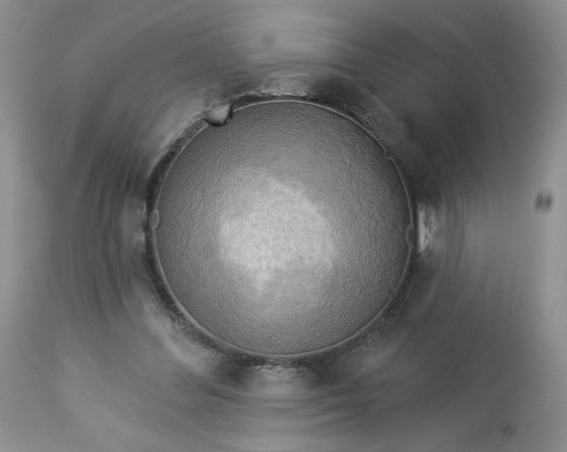 X0000113340300200909291036