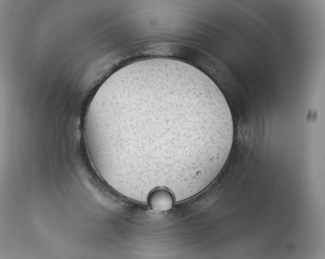 X0000113340302200909291036