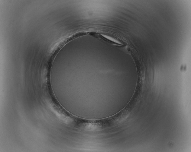 X0000113340303200909291036